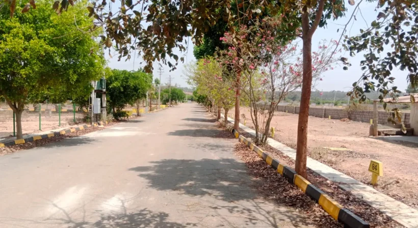 vaibhav nagar (3)